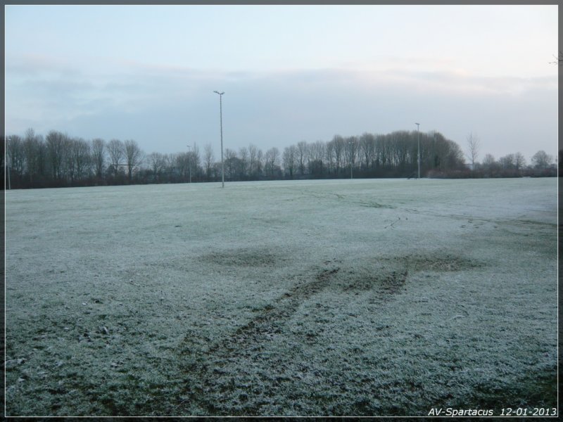 nieuwjaarsloop201303.jpg